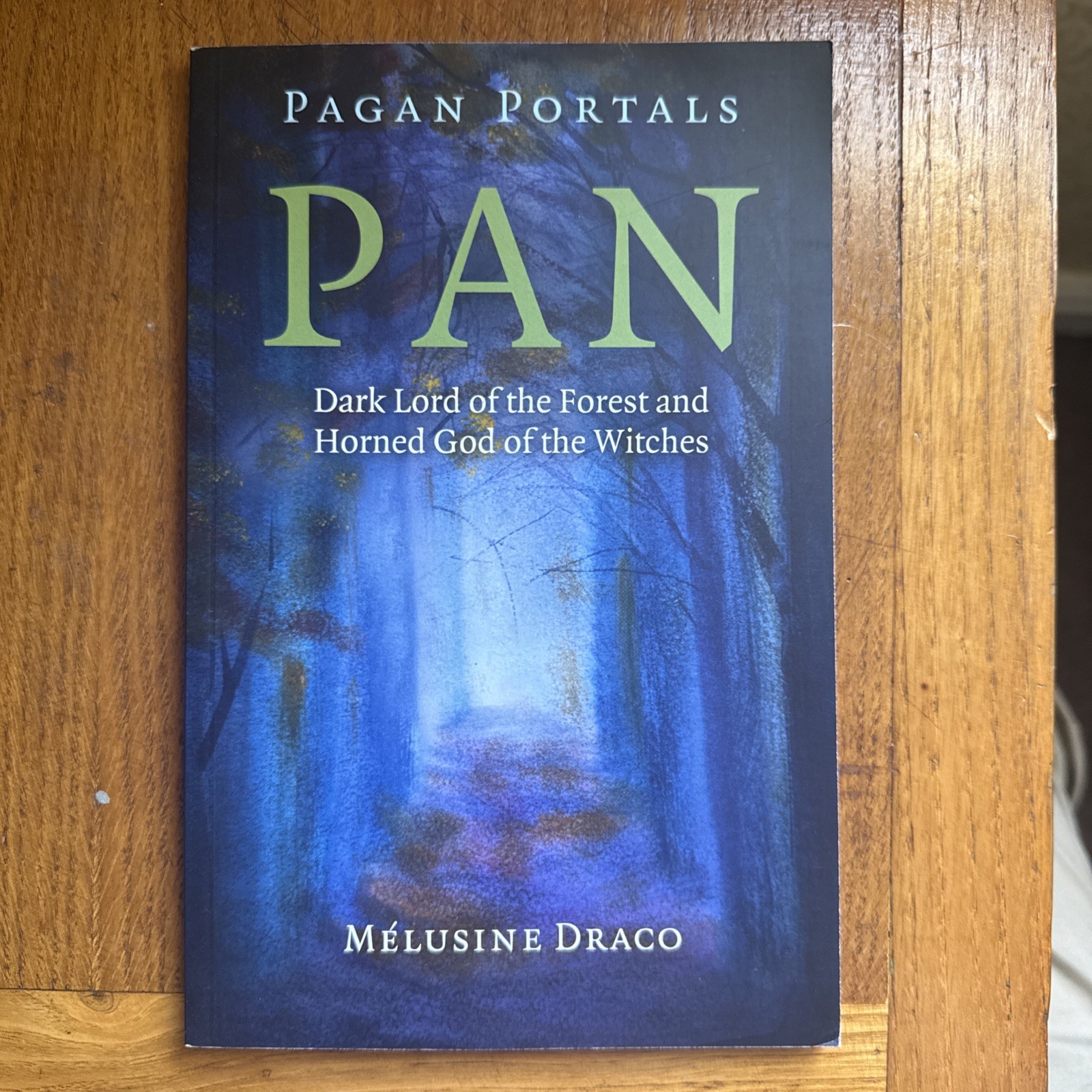 Pagan Portals - Pan : Dark Lord of the Forest and Horned God of the Witches...