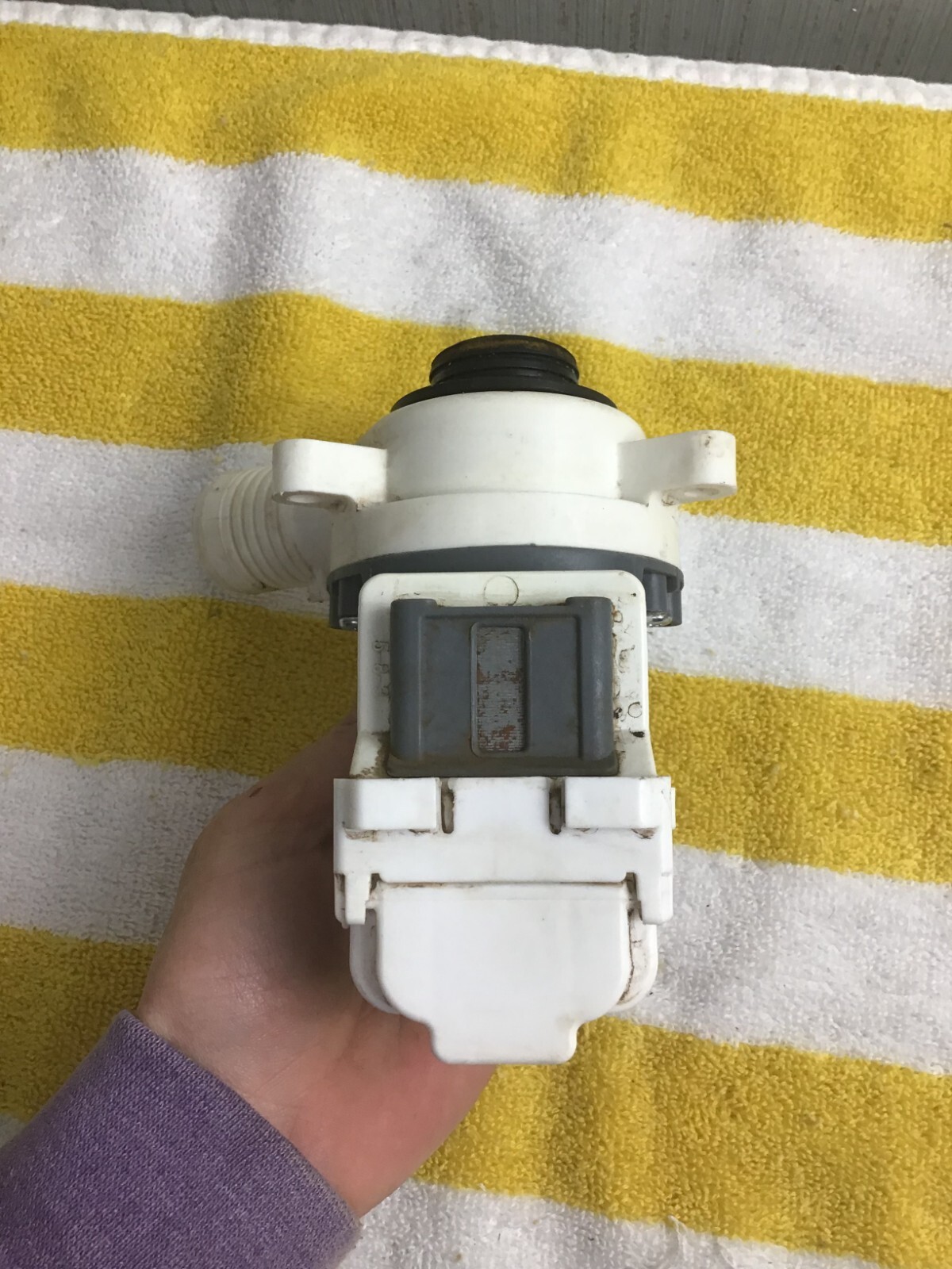 W10919003 WHIRLPOOL AMANA WASHER DRAIN PUMP free shipping eBay