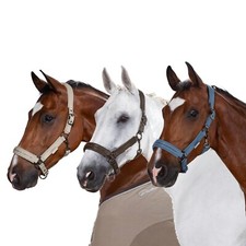 Eskadron Platinum Halfter mit Doppeldornschnalle " SOFTLATE CRYSTAL "