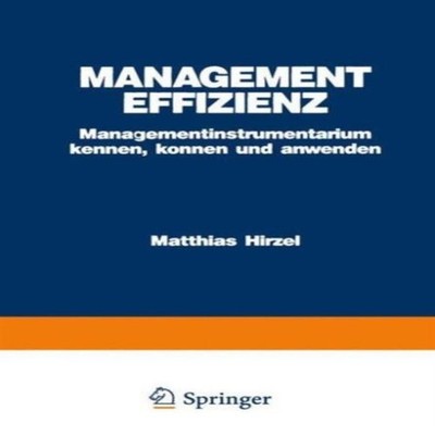 Management Effizienz Matthias Hirzel Paperback Springer Nature B.