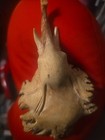 Vintage Carved Burl Wood Knot Elephant Head Art Sculpture Trunk Up 6" Figure — photo 3