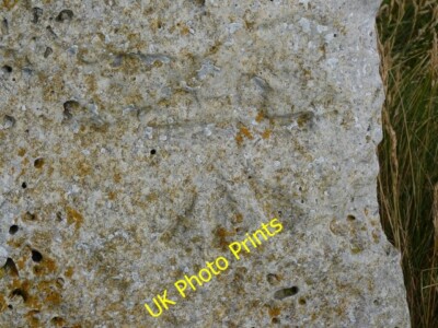 Photo 6x4 Benchmark on Boundary Stone, Wallsend Cove, Portland Southwell c2015