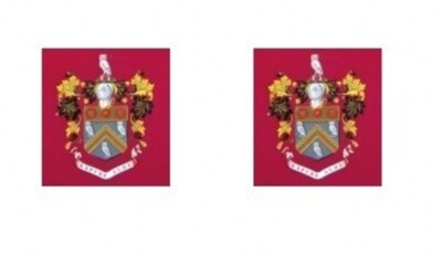 5 PR MODELLBUS WASSERRUTSCHTRANSFERS 1:76 WAPPEN OLDHAM AUF PFLAUME
