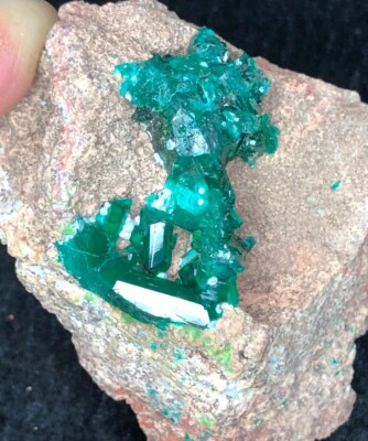 72grm Gorgeous DIOPTASE Green crystal  specimen From Cango 