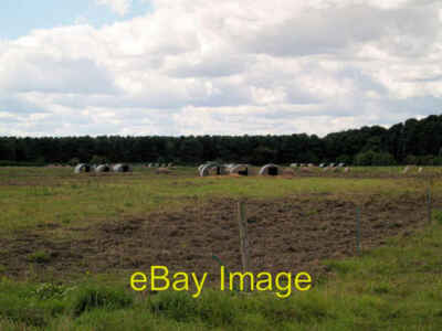 Foto 6x4 Schweinefarm. Bawtry Die Bäume auf der Get a map must have bee c2007