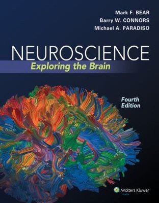 Neuroscience : Exploring the Brain Hardcover