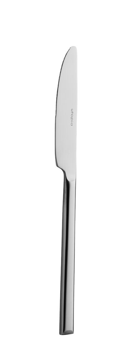 Stainless Steel Signature Dessert Knife Cutlery Set Dinning Knives Pack Of 12