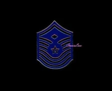 USAF E-8 / 1st Sgt  + a custom promo pin 
