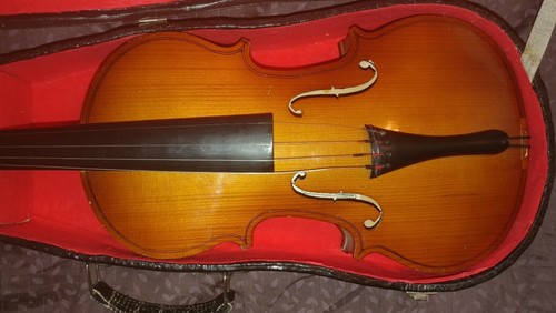 Violin With Case Beginners Student Parrot 4/4 China | eBay