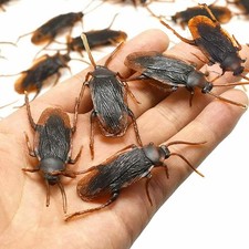 waiforu Prank Fake Roaches Model Rubber Cockroach Roach Bug Small, 30