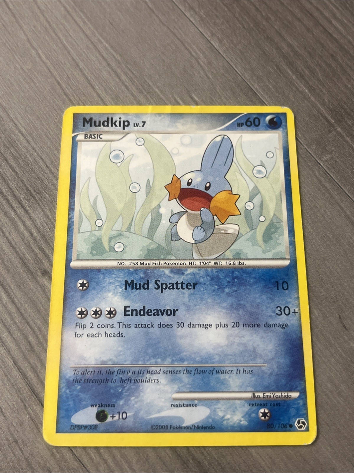 Mudkip Common Great Encounters 80/106 LP