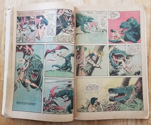 DC Comics Tarzan #231 June-July 1974 - Picture 4 of 5