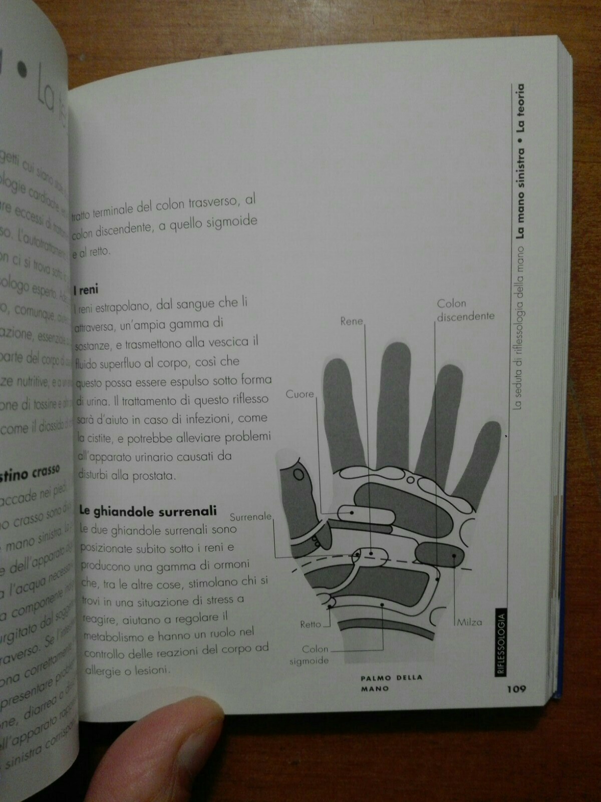 Foto 5 di 6