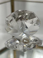 Swarovski Crystal Miniature Oyster  With Pearl