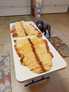 Pair of Sheep Skins Tan with Brown Stripes