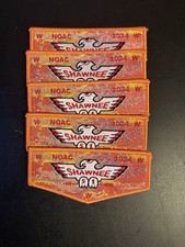 SET OF 5 - Shawnee Lodge 51 2024 NOAC flaps -...