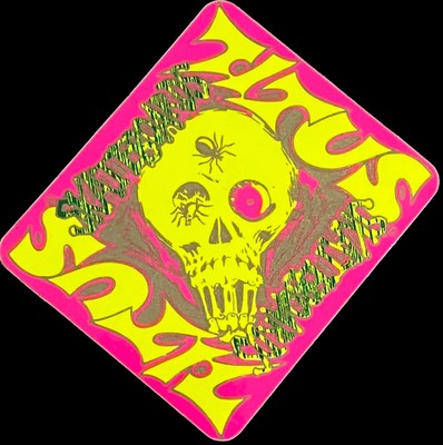 Vintage 1980 s Titus Skateboards Sticker Skull