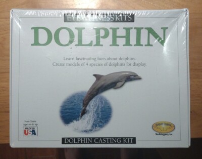 EYEWITNESS KITS Dolphin Casting Kit Skullduggery Educational Learning Model NEW