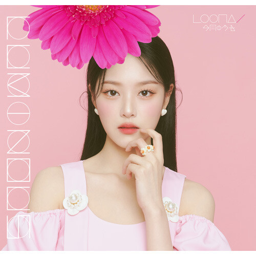 LOONA サイン入りK-POP CD 14枚セット LUMINOUS LOONA サイン入りK-POP CD 14枚セット LUMINOUS