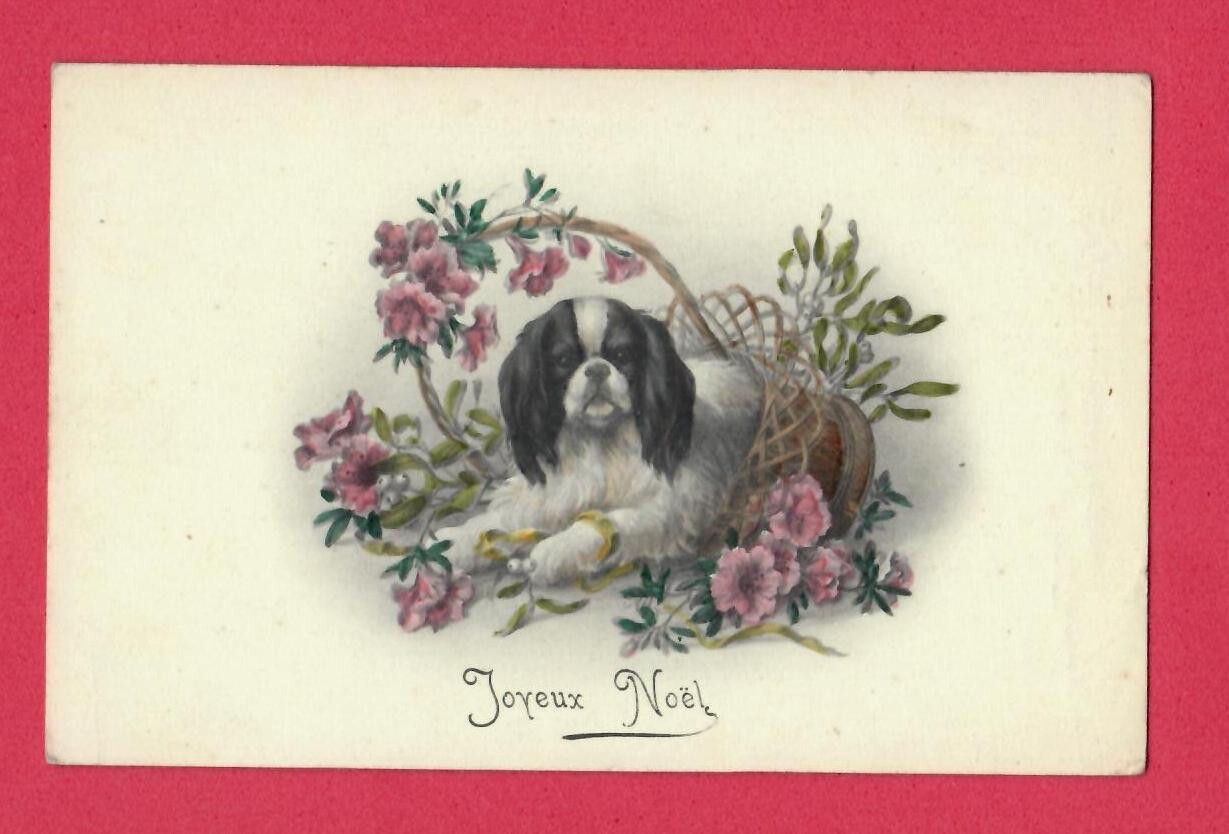 Dog And Flower Vintage Postcard 1757