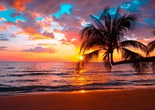 7x5ft Fabric Beach Palm Tree Backdrop for Photography Sunset Seaside Palm Tre...