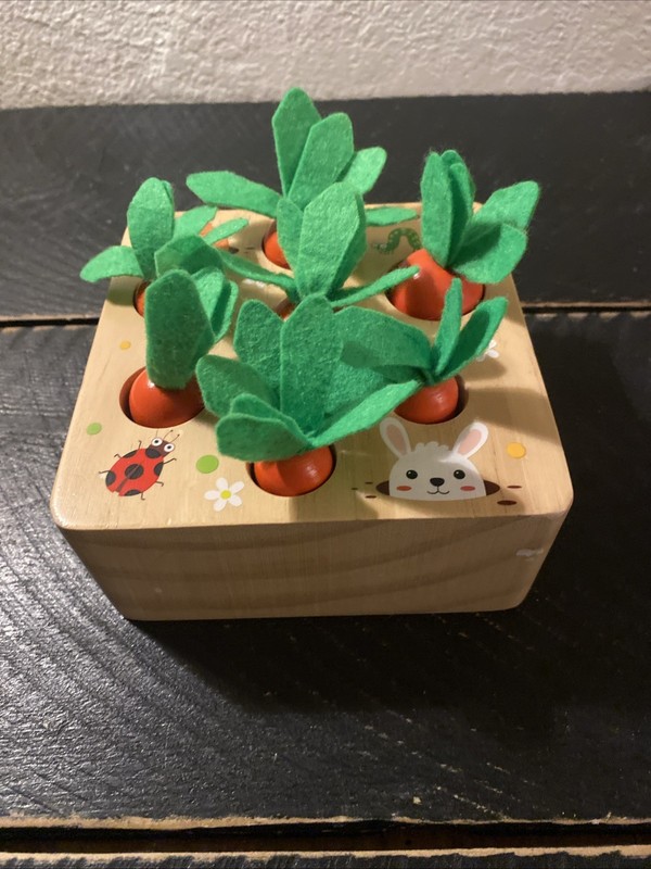 Montessori Goreyo Baby Wood Sorting Garden Carrots Toy
