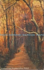 R001608 Addisons Walk Madgalen College Oxford Hildesheimer Fac Simile 1916