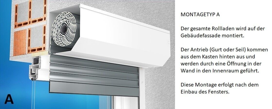 Bild 6 von 12