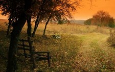 Landscape fallen leaves bench fall trees Custom Gaming Mat Desk