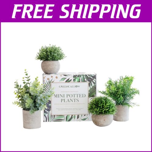 Chic Mini Potted Plant Set: Eucalyptus & Rosemary for Stylish Home Décor