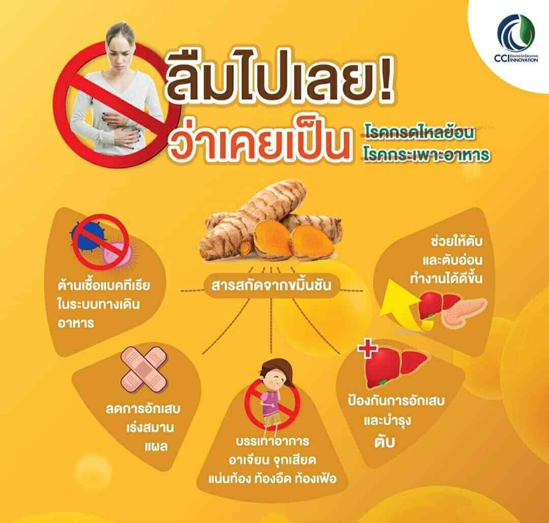 3X Green Curmin Innovative Herbs Better Life Turmeric Extract Help Reflux Acids