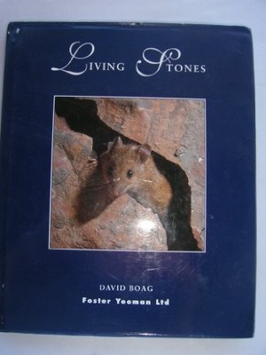 Living Stones,David Boad