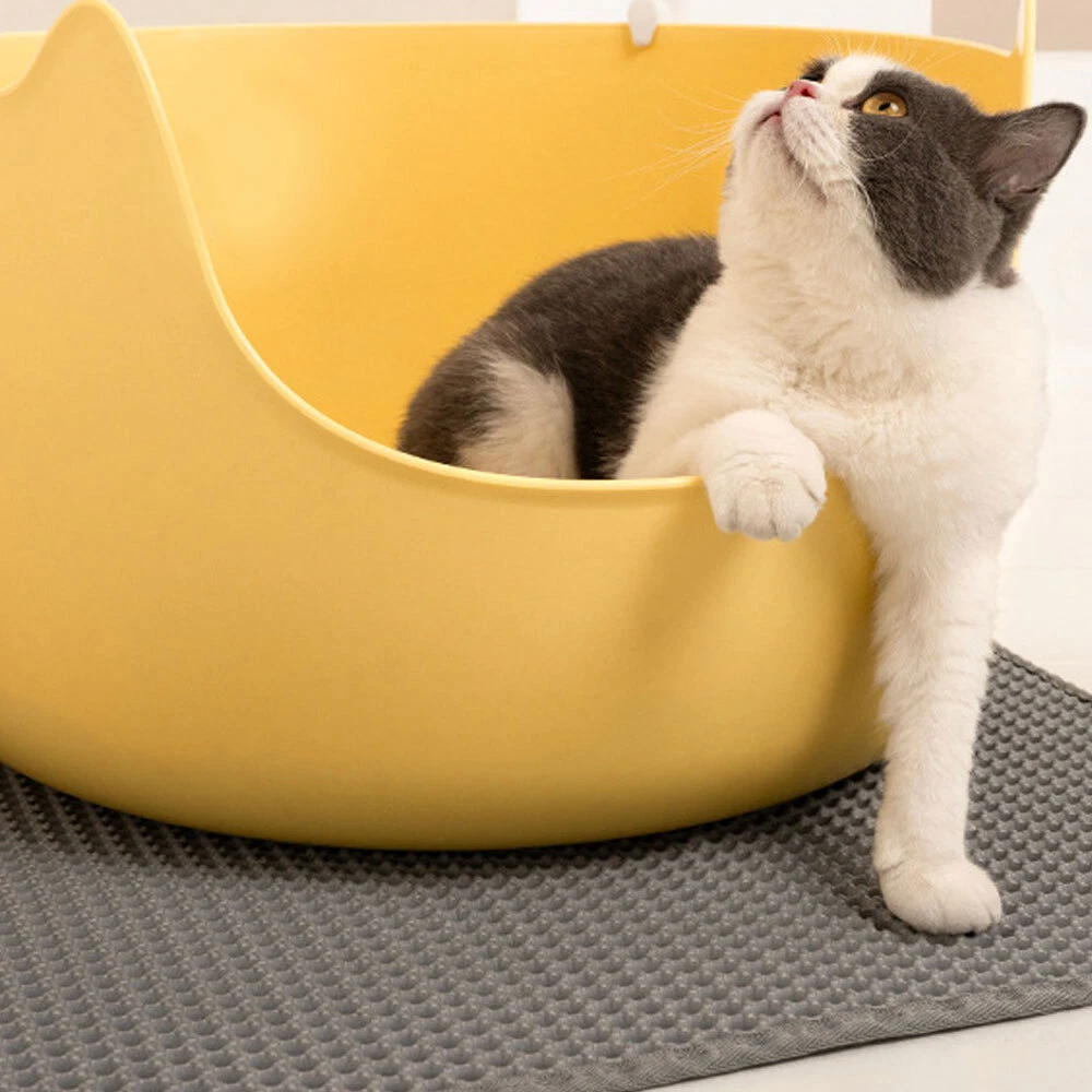 Einstreuunterlage fr Katzen online kaufen | eBay.de