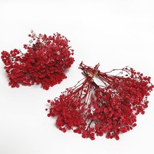 6 PCS Preserved Baby's Breath Mini Bouquets Natural Gypsophila Flowers Red