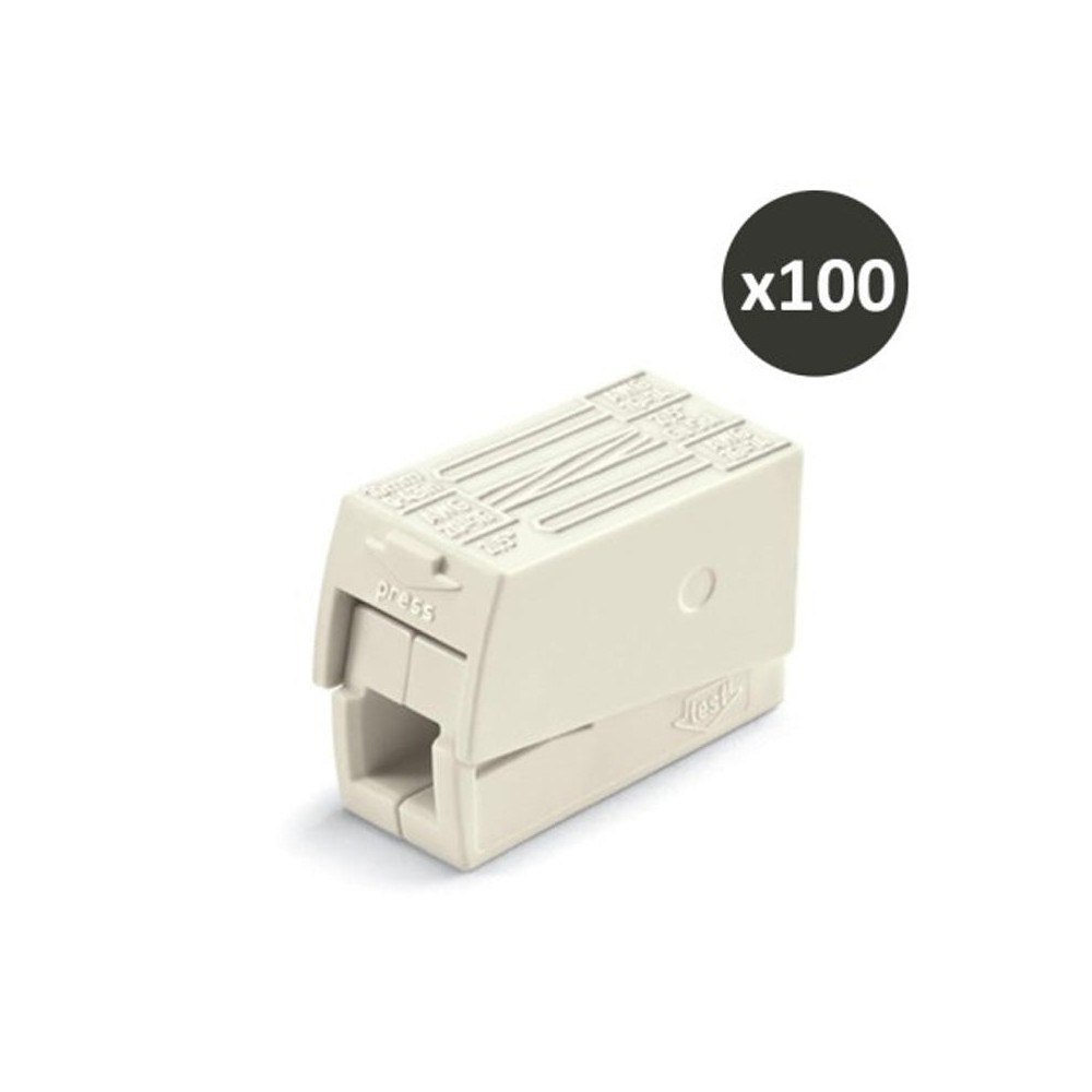 Borne pour luminaires WAGO 2.5 mm2 pour connexion de 2 fils rigides et 1 fil souple