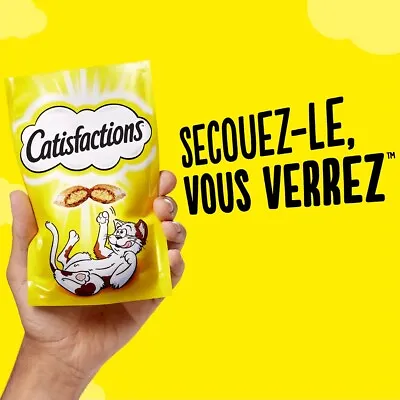 Acheter CATISFACTIONS Friandises Au Saumon Pour Chat Et Chaton (6x60g)