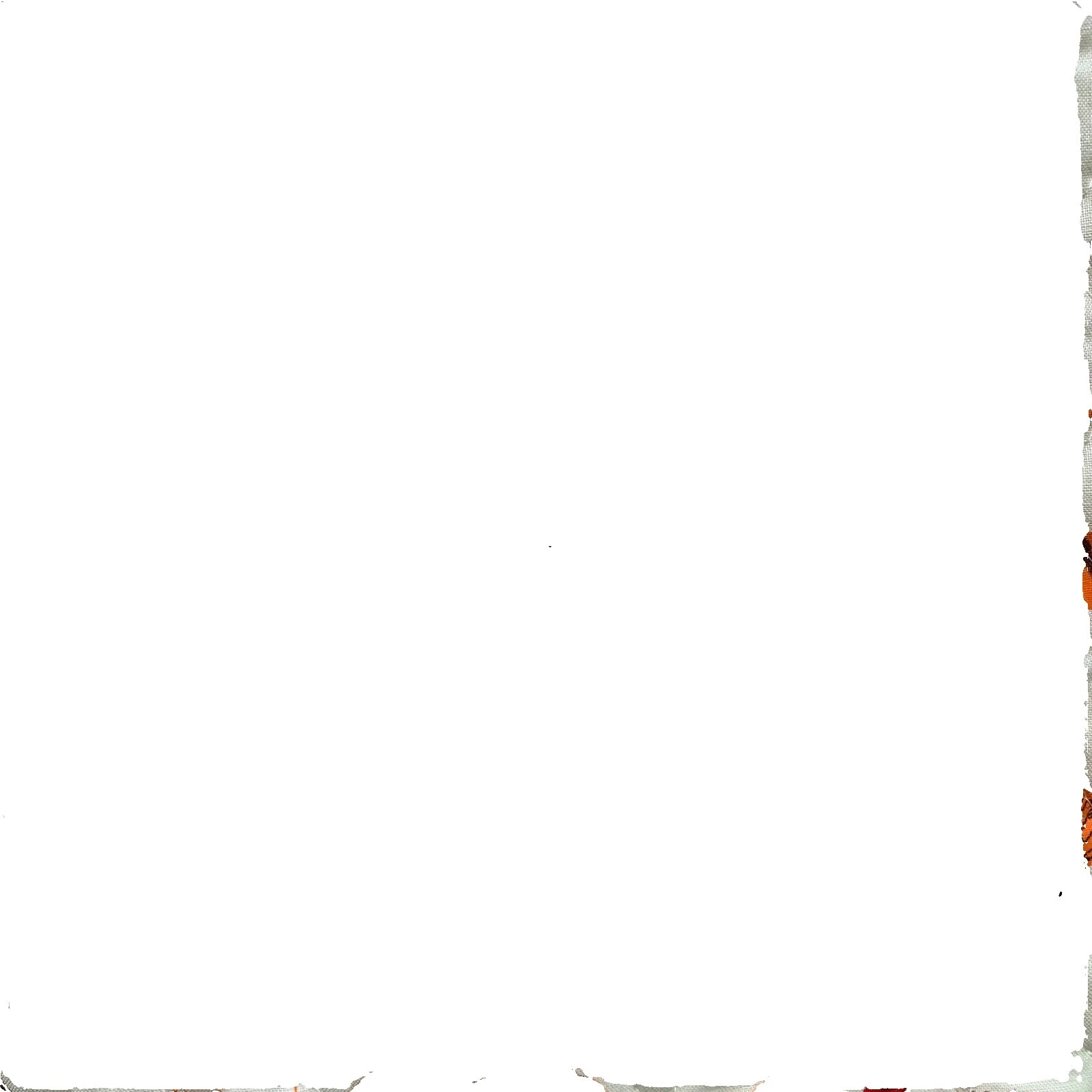 Tiger Print Quilting Craft Fabrics