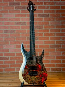 Schecter USA | eBay