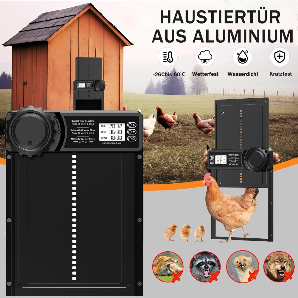 Bild 2 von 57