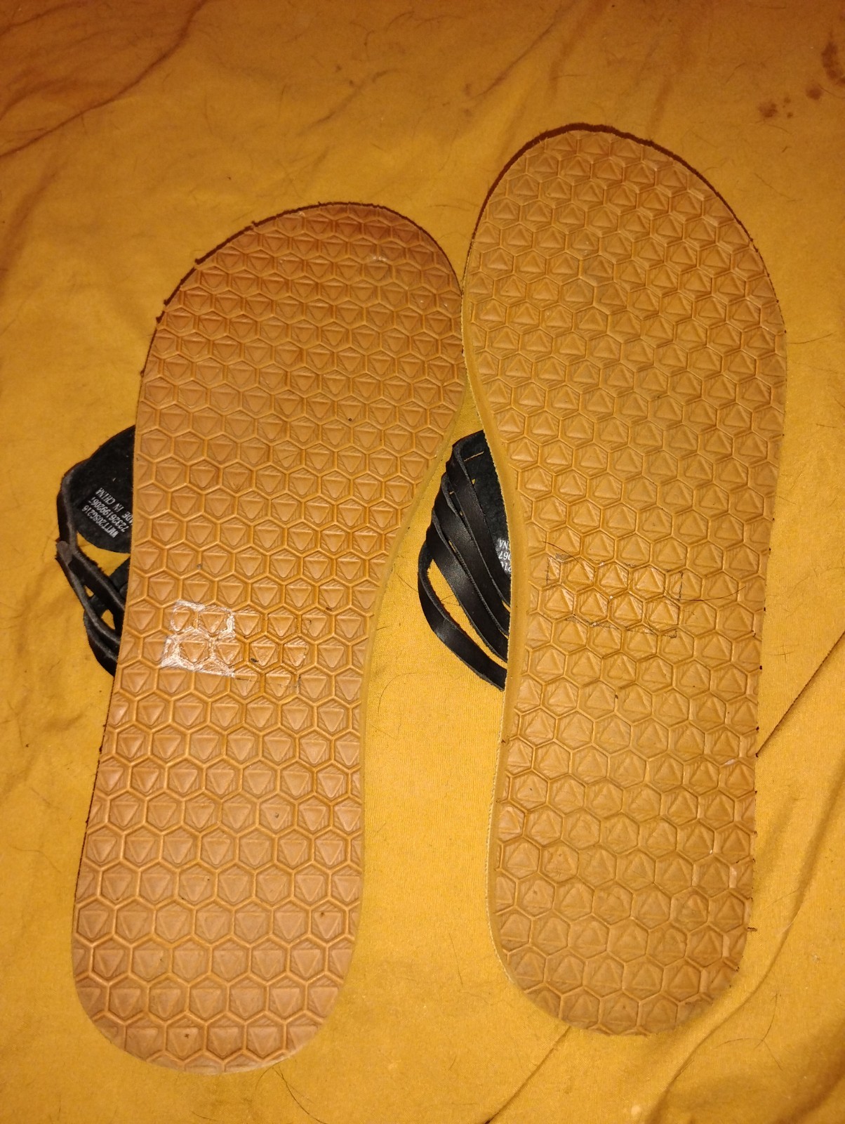 Foto 15 di 24