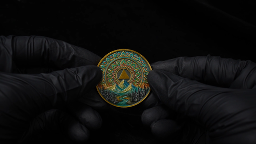 12 Years Sobriety Chips Alcoholics Anonymous Medallion Twelve Year Sobriety Coin - Video 1 of 1
