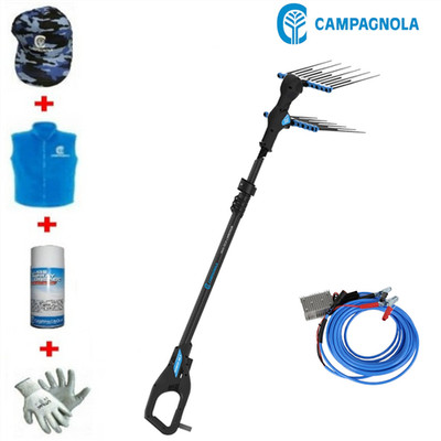 Campagnola Abbacchiatore Alice Star 58 Plus Mit Carbon-Stange 185-270CM
