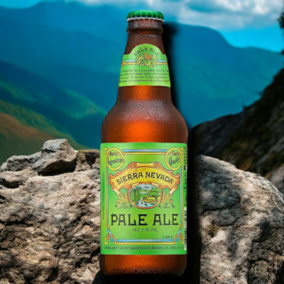 24 Flaschen Sierra Nevada Pale Ale 0,355 l Bier aus den USA