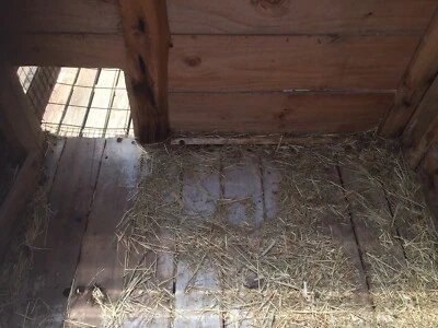 rabbit hutch shiploads