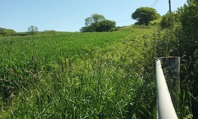 Foto 6x4 Sweed Moor Blackney Blick mehr nach rechts von wo [[[548 c2017
