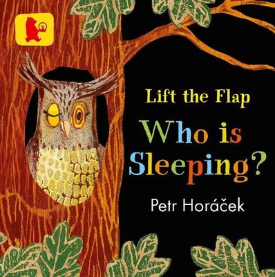 Petr Horácek Who Is Sleeping? (Kartonbuch)