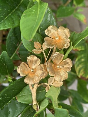 Tiffany & Co 14K Gold Triple Dogwood Flower Pin Brooch 12.8 Grms