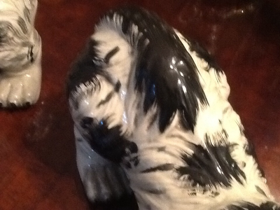 Foto 3 di 12