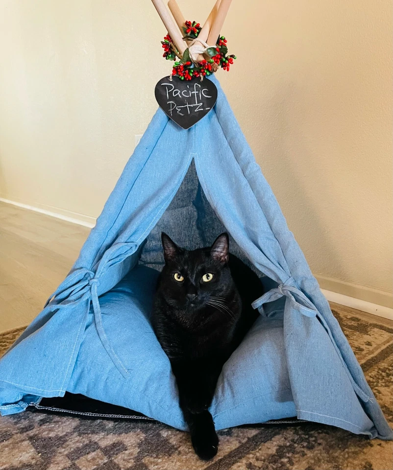 Pet Teepee Dog & Cat Tent Bed w/Cushion & Chalkboard, Cotton, Blue - Image 2 of 4