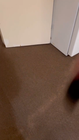 Video 1 von 1